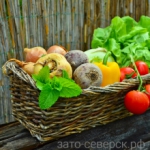 «Овощной экспресс»