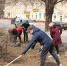 На субботник как на праздник! - Газета Диалог