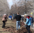 Главный результат – чистота в городе - Газета Диалог