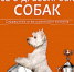 Мы за них в ответе: к Всемирному дню бездомных животных - ЦГБ г. Северска