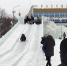 В Северске торжественно открыли главную городскую елку - Администрация ЗАТО Северск
