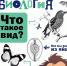 Простая наука для детей - ЦГБ г. Северска