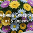 Афиша Северска - Администрация ЗАТО Северск