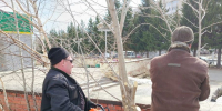 В Северске продолжаются работы по весеннему благоустройству города - Администрация ЗАТО Северск