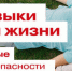 Проводится единая антинаркотическая коммуникационная акция - Управление образования