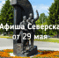 Афиша Северска - Администрация ЗАТО Северск