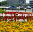 Афиша Северска - Администрация ЗАТО Северск