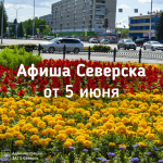 Афиша Северска