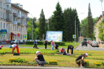 Северское разноцветье
