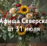 Афиша Северска - Администрация ЗАТО Северск