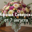 Афиша Северска - Администрация ЗАТО Северск