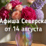 Афиша Северска - Администрация ЗАТО Северск