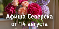 Афиша Северска - Администрация ЗАТО Северск