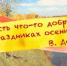 В сентябре и воробей богат - ЦГБ г. Северска