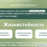 Как прокачать свою жизнестойкость всего за 5 шагов - Управление образования