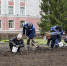 В Северске стартовала кампания по цветочному оформлению на 2026 год - Администрация ЗАТО Северск