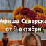 Афиша Северска - Администрация ЗАТО Северск