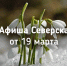Афиша Северска - Администрация ЗАТО Северск